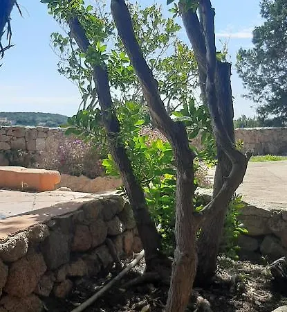 Lupo Cattivo Con Sei Camere- Centro Villa *